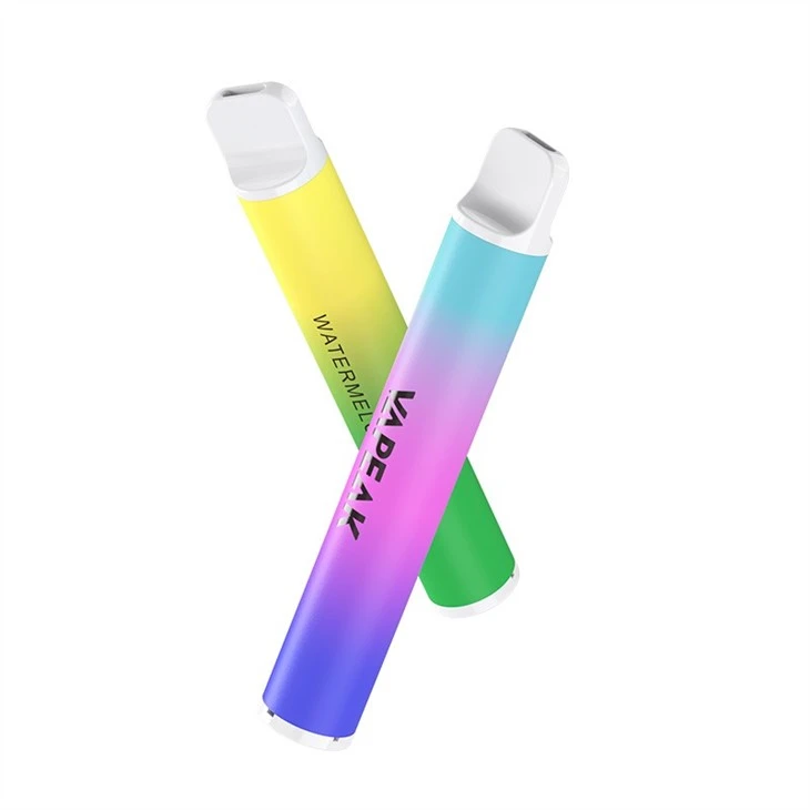 600 Puff Disposable Vape Mesh Coil 600 Puff Disposable Vape Mesh Coil