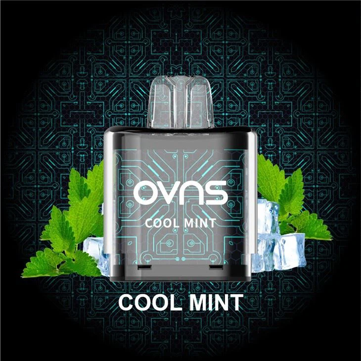 Replaceable Mesh12 X Refilled Pod Vape Kits Replaceable Mesh12 X Refilled Pod Vape Kits
