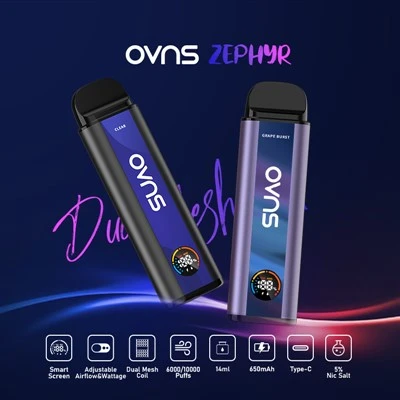 Vape jetable 7000/8000/10000/15000 bouffées