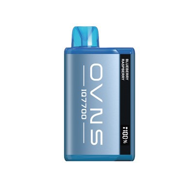 Meilleure saveur 10000 Vape jetable bouffante